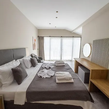 222 Hisaroenue فندق