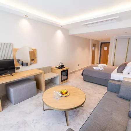 222 Hisaroenue * أولدينيس