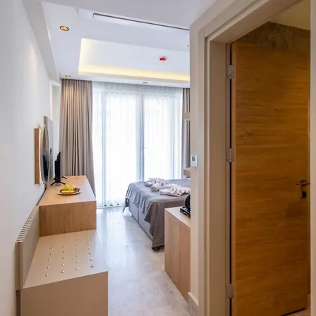 222 Hisaroenue מלון *